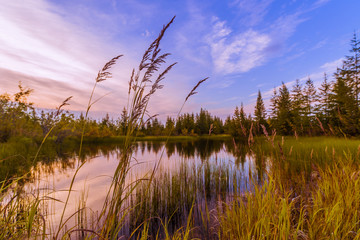 Summer landscape with river, forest, clouds on the blue sky and sunset. 