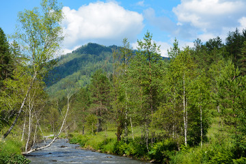 The river Kuyum in the Altai mountains