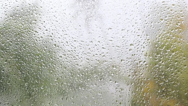 Tropical rainy day in fall. The raindrops on house window glass. Focus on rain drops running down the window, large green palm leaves background blurred. Island Koh Phangan, Thailand