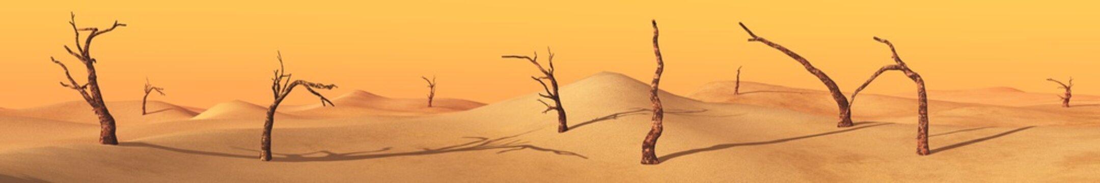 Panorama of the desert. Dead trees in the sand.