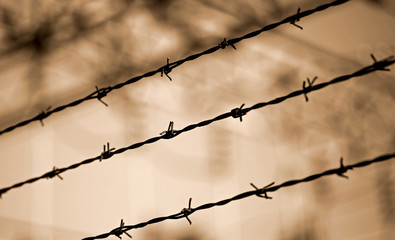 barbed wire lines and background blurred with other barriers