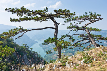 Viewpoint Banjska rock at Tara mountain looking down to Canyon of Drina river, west Serbia