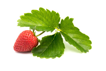 Fresh ripe strawberry with leaves
