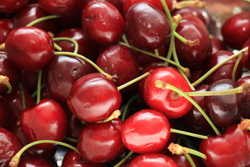 Red cherries in close up
