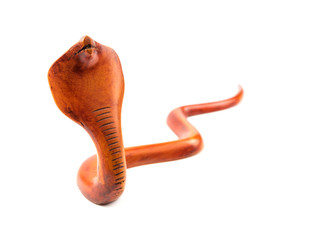 cobra on white background