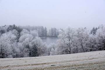 Obraz na płótnie Canvas der geheime See, Winterlandschaft mit Bäumen und See mit Raureif überzuckert