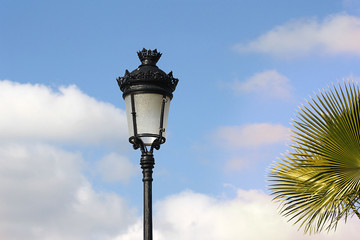 Fototapeta na wymiar lantern and palm tree on sky background