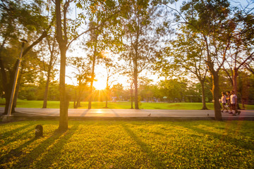 Light of sunny day in public central park