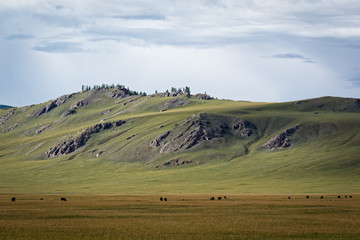 Mongolia © Krzysztof