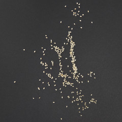 Top view of sesame seeds spilled on gray paper.