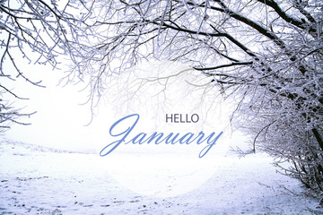 
Hello January wallpaper, winter landscape with frozen, snowy forest