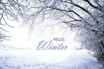 Hello Winter wallpaper, winter landscape with frozen forest