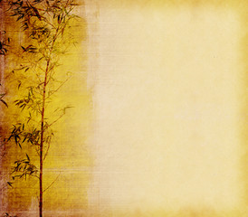 bamboo on old grunge paper texture background