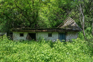 Fototapeta na wymiar House in Chernobyl Nuclear Power Plant Zone of Alienation, Ukraine