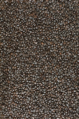 roasted coffee beans