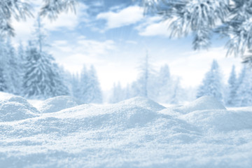 winter time and snow space 