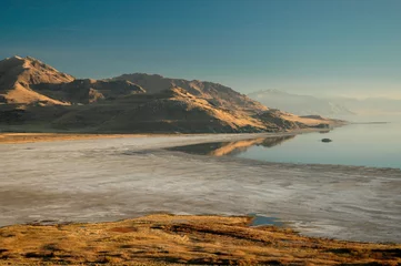 Fototapeten Antilope antelope island utah  © Heath
