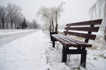 bench in Central Park covered with snow
