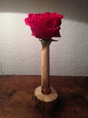 rose du matin soliflor