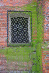 Okno w starym murze