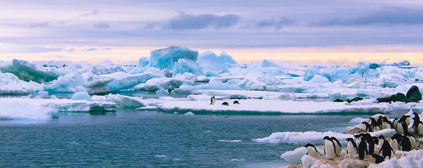 Schöne Aussicht in der Antarktis