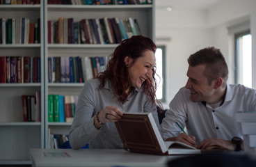 Beautiful redhead girl and handsome blond guy working on a proje