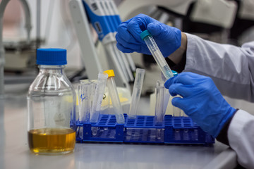 Fototapeta premium Modern scientist working in biotechnological laboratory