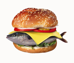 The big fish burger on white background.
