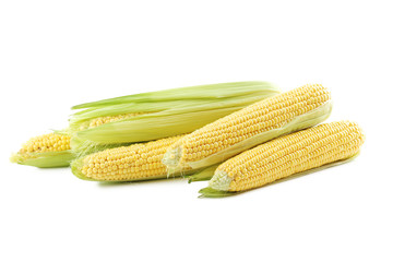Sweet corns isolated on a white