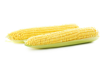 Sweet corns isolated on a white