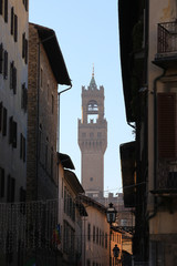 Fototapeta na wymiar view of the Palazzo Vecchio between buildings in Florence, Italy