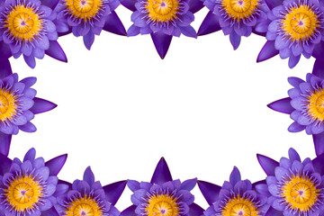 Fototapeta na wymiar Beautiful purple lotus set as blank frame for text on white background and copy space