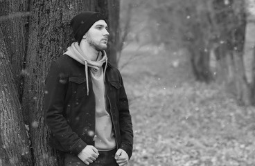 handsome beard man in autumn park