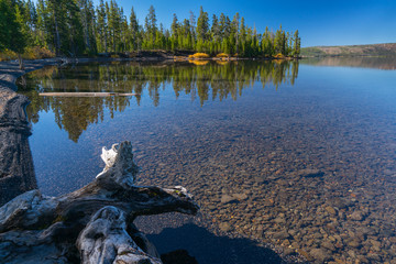 Lewis Lake, Yellowstone National Park, Wyoming