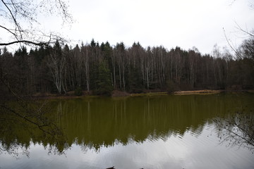 Fototapeta na wymiar Kleiner Waldsee im Winter