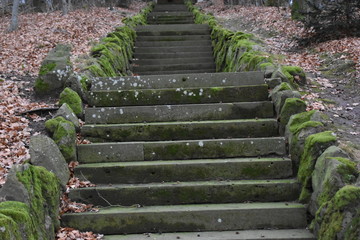 Alte Steintreppe führt auf Berg im Wald