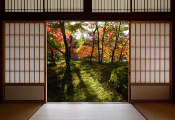 Japanese sliding wood doors open to an autumn sight of fallen yellow ginkgo leaves