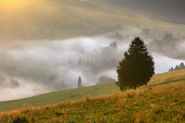 Mgliste Wiosenne Pieniny - Polska  © Wojciech Lisiński