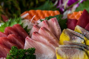 Sashimi