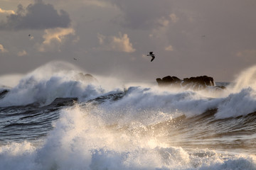 Sea storm with big breaking waves