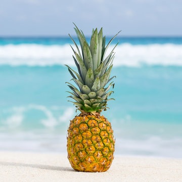 Pineapple fruit on sand against turquoise caribbean sea water