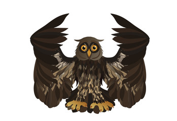 Graphic illustration of flying owl. Vector illustration.