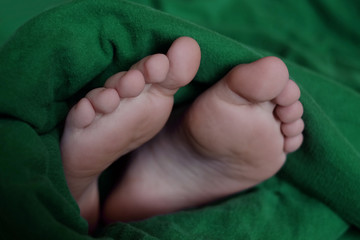 Feet Wrapped in Warm Blanket