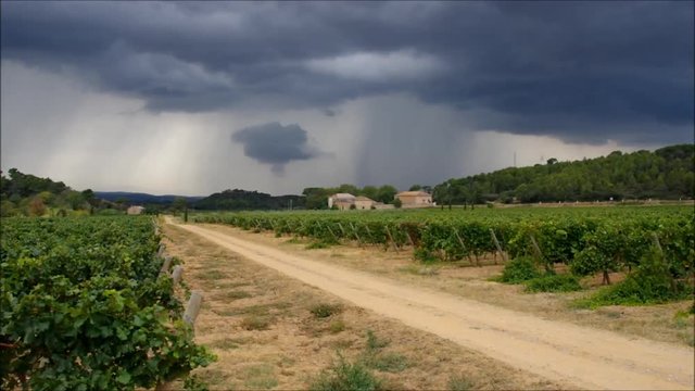 Weingut in den Corbieres, Landschaft im S&uuml;den Frankreichs