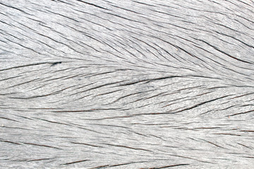 wood background