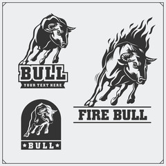 Raging bull. Vector emblems, labels and badges.