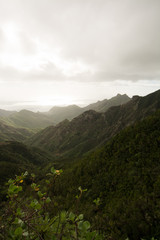 Road TF-12 in Anaga Rural Park - peaks with ancient forest on Tenerife