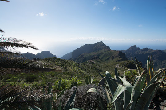 Nature near Masca Village, Tenerife