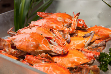 Swimming crab