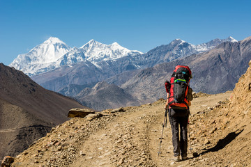 Obraz premium Lonely trekker walking on desert road.